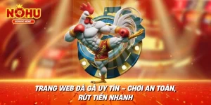 Trang Web Đá Gà Uy Tín – Chơi An Toàn, Rút Tiền Nhanh